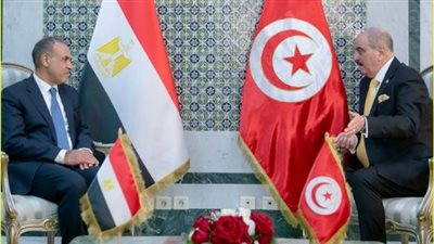 تفاصيل لقاء وزير الخارجية مع نظيره التونسي