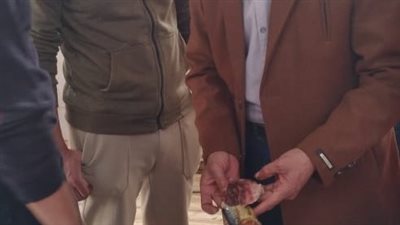 ضبط 8.5 طن أسماك مدخنة ومملحة غير صالحة ضمن حملات موسعة بالغربية