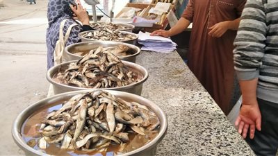 أسواق الفسيخ والرنجة في البحيرة..