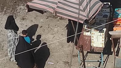 بعد ارتفاع أسعار الفسيخ والرنجة.. الاحتفال بشم النسيم 