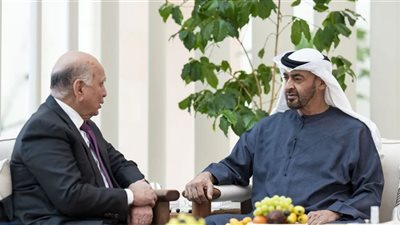 الرئيس الإماراتي يستقبل وزير خارجية العراق
