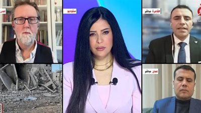 أستاذ علوم سياسية: تحضيرات سعودية-فرنسية لعقد مؤتمر دولي بشأن فلسطين