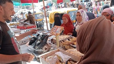ارتفاع أسعار الأسماك في أسواق الشرقية مع احتفالات شم النسيم