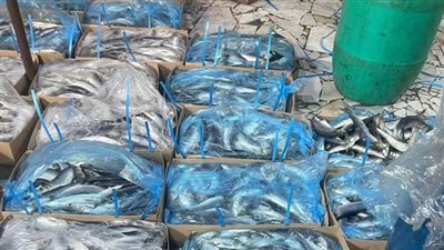 الأجهزة الرقابية تضبط 16 طن لحوم والأسماك والدواجن المخالفة بالشرقية