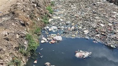 محافظ الشرقية يوجه بفتح قنوات تواصل مباشرة مع المواطنين والاستجابة الفورية لشكواههم