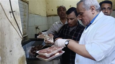 ضبط سردين مملح وقطع دواجن غير صالحة للاستهلاك بالفيوم 