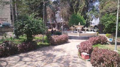 رئيس حى غرب المنصورة يتابع رفع مستوى الحدائق 