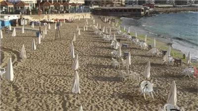 الدنيا ربيع والجو بديع.. رفع الرايات الخضراء على شواطئ الإسكندرية 