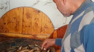 ضبط 20 صندوق رنجة و سردين مملح مجهولة المصدر بالبحيرة