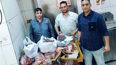 ضبط فسيخ وكبدة مجمدة غير صالحة للاستهلاك بالبحيرة