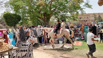 أهالي الشرقية يحتفلون بشم النسيم في المتنزهات وسط أجواء عائلية 