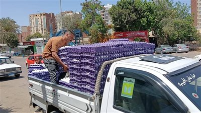 مبادرة لبيع الفسيخ والبيض بأسعار مخفضة بالإسماعيلية 