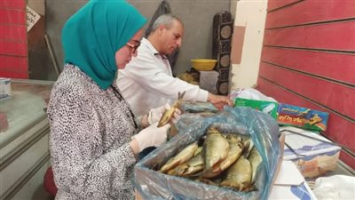 تحرير 15 محضراً لمنتجات منتهية الصلاحية في بنى سويف