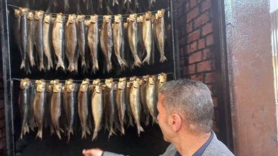 إعدام 168 كيلو رنجة وفسيخ غير صالحة للاستهلاك بالإسماعيلية