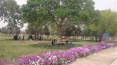 المواطنين يستمتعون بطقس الإسكندرية