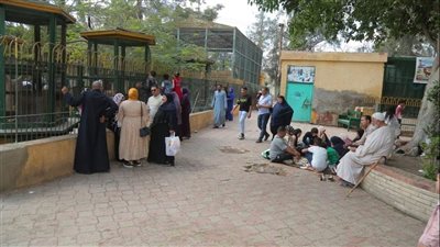 احتفالًا بشم النسيم.. توافد آلاف الزوار على حديقتي صنعاء والحيوان بكفر الشيخ 