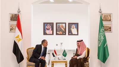 وزير الخارجية يترأس وفد مصر في أعمال لجنة المتابعة والتشاور السياسي مع السعودية