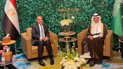 مباحثات مصرية سعودية لتعزيز التعاون في الطاقة والهيدروجين الأخضر