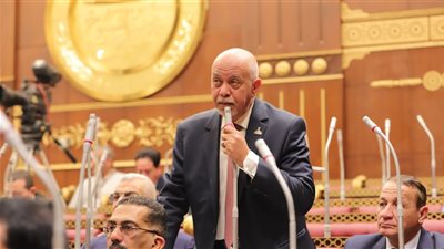 النائب حازم الجندى: دعوات تفجير المسجد الأقصى تمثل انحدارًا أخلاقيًا وتهديدًا لأمن المنطقة