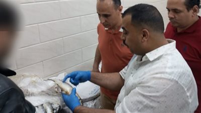 حملات مفاجئة وإغلاقات فورية لحماية المواطنين من الأغذية الفاسدة بالشرقية