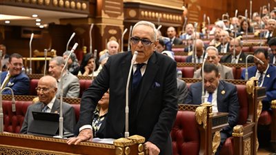 وكيل الشيوخ يطالب ببيئة تشريعية مرنة محفزة للاستثمار.. الاقتصاد يدار بالتخطيط المحكم