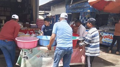 رفع 620 حالة إشغال طريق وإزالة 21 خيمة مخالفة بالبحيرة