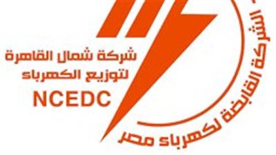 إعادة تشكيل لجنة تحصيل مستحقات شركة كهرباء شمال القاهرة من محاضر سرقات التيار 