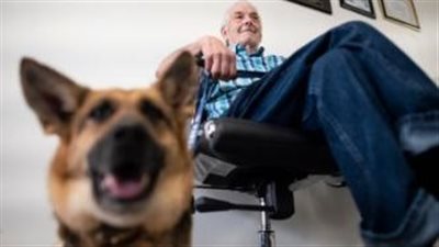 بعد الحوادث الأخيرة.. اعرف كيف يمكن أن تكون الكلاب مصدرًا للعلاج النفسي؟