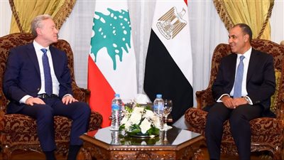 وزير الخارجية يشدد على ضرورة الانسحاب الفوري للقوات الإسرائيلية من جنوب لبنان