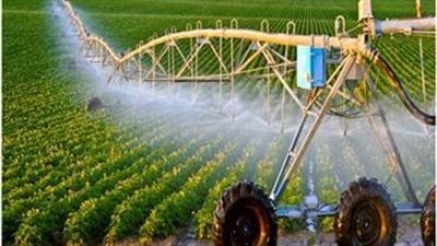 الزراعة: جهود ضخمة لتنمية القطاع الزراعي في سيناء وزيادة الإنتاج