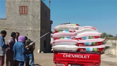 شون وصوامع الشرقية تستقبل 14 ألف طن من القمح المحلي 