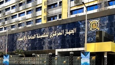 122.4 مليون دولار قيمة التبادل التجاري بين مصر وجيبوتي عام 2024