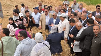 محافظ الدقهلية يطلق موسم حصاد القمح من السنبلاوين