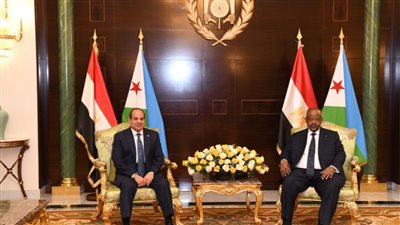 الاتفاق على إطلاق برنامج طموح ومشترك لتحقيق أمن الطاقة في جيبوتي