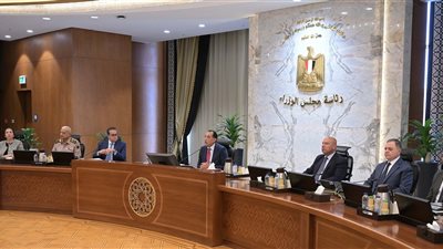 مجلس الوزراء يوافق على اقامة صوامع غلال وقرى للظهير الصحراوي بالمنيا 