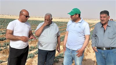تزامناً مع العيد القومي لسيناء.. مركز بحوث الصحراء يواصل دعم المزارعين ميدانياً رغم التحديات المناخية