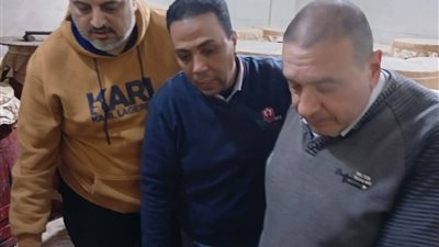  ضبط 13 طن أسماك ورنجة وفسيخ مخالفة للمواصفات بالدقهلية
