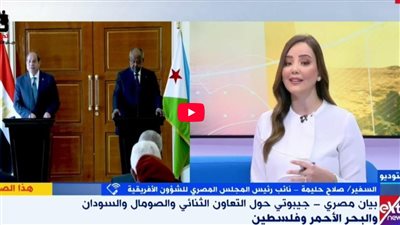 صلاح حليمة: زيارة الرئيس السيسي لجيبوتي منعطف كبير في التعاون بين البلدين
