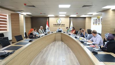 لجنة المنظمات الأهلية بالقومي للمرأة تعقد اجتماعها الدوري وتناقش أنشطتها بالفترة المقبلة