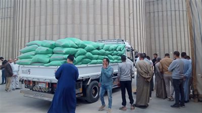 توريد 21982 طنًا من القمح للشون والصوامع بالفيوم
