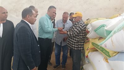 رئيس حوش عيسى  يتابع موسم توريد القمح بصومعة الخربة بقرية الكوم الأخضر