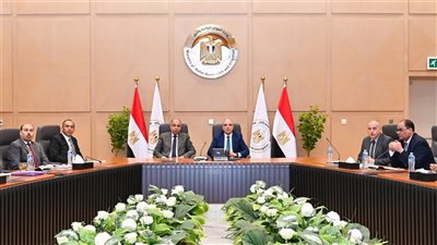 وزير الري يبحث مع محافظ المنيا عددًا من الملفات المشتركة 