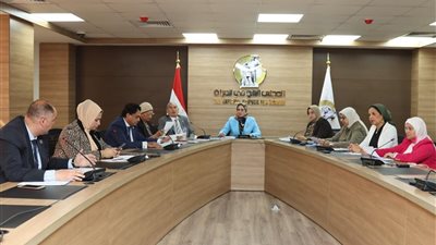 لجنة المشاركة السياسية  بالقومي للمرأة تعقد اجتماعها الدوري وتناقش خطة عملها المقبلة