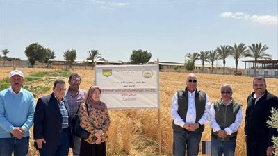 مركز بحوث الصحراء يقود نهضة زراعية وتنموية متكاملة في سيناء