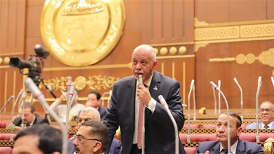 النائب حازم الجندي يطالب برعاية وتبني النشء المتميزين في الأمن السيبراني