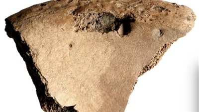 مصارع روماني يقاتل حتى الموت: أول دليل مادي على مصارعة الوحوش قديمًا