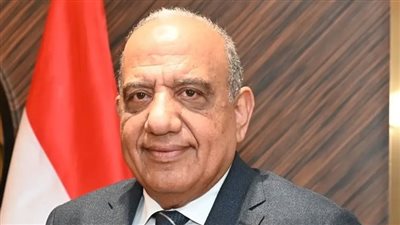 عصمت: توفير التغذية الكهربائية اللازمة كركيزة أساسية لإحداث تنمية شاملة بسيناء