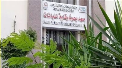 وقاية النباتات والإرشاد الزراعي يطلقان سلسلة ندوات لمواجهة دودة الحشد الخريفية في الذرة