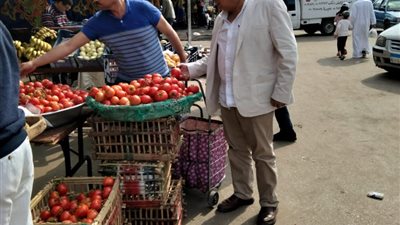 محافظ الدقهلية يتفقد منافذ البيع وسوق اليوم الواحد