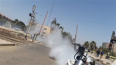 محافظ الغربية يدفع بحملات مكثفة لمكافحة الناموس في شوارع مراكز ومدن المحافظة